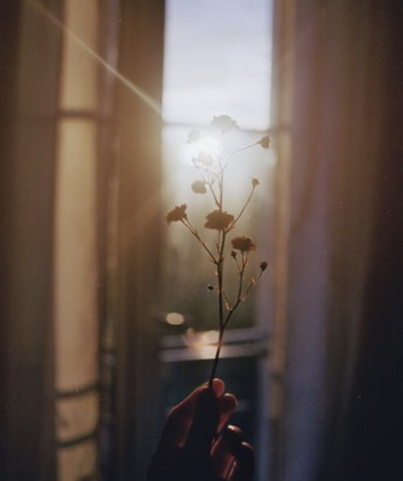 Release. Heal.